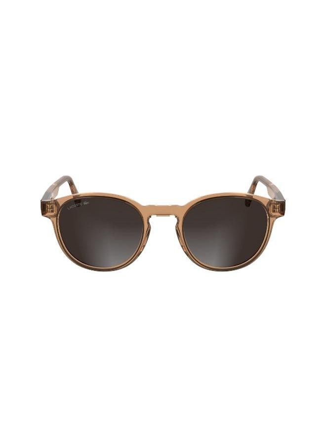 buy-lacoste-modified-rectangle-sunglasses_zms