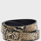 buy-ella-limited-edition-by-namshi-snake-print-belt_3xv