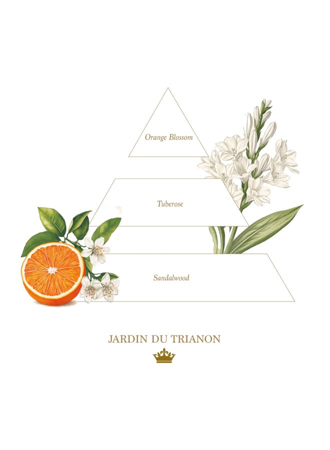 buy-la-savonnerie-royale-100g-jardin-du-trianon-soaps_jic