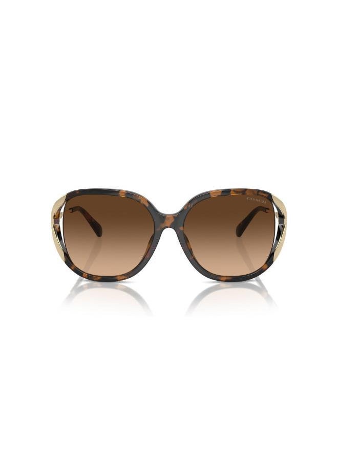 buy-coach-square-sunglasses_592