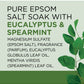 Dr Teal's Eucalyptus & Spearmint Epsom Bath Salt 1.36Kg