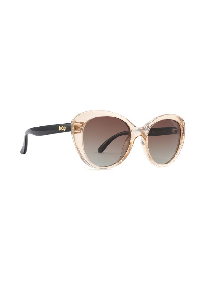 buy-lee-cooper-polarized-sunglasses-brown-frame-gr-brown-mirror-lens-51mm-lc1007c03_hg2