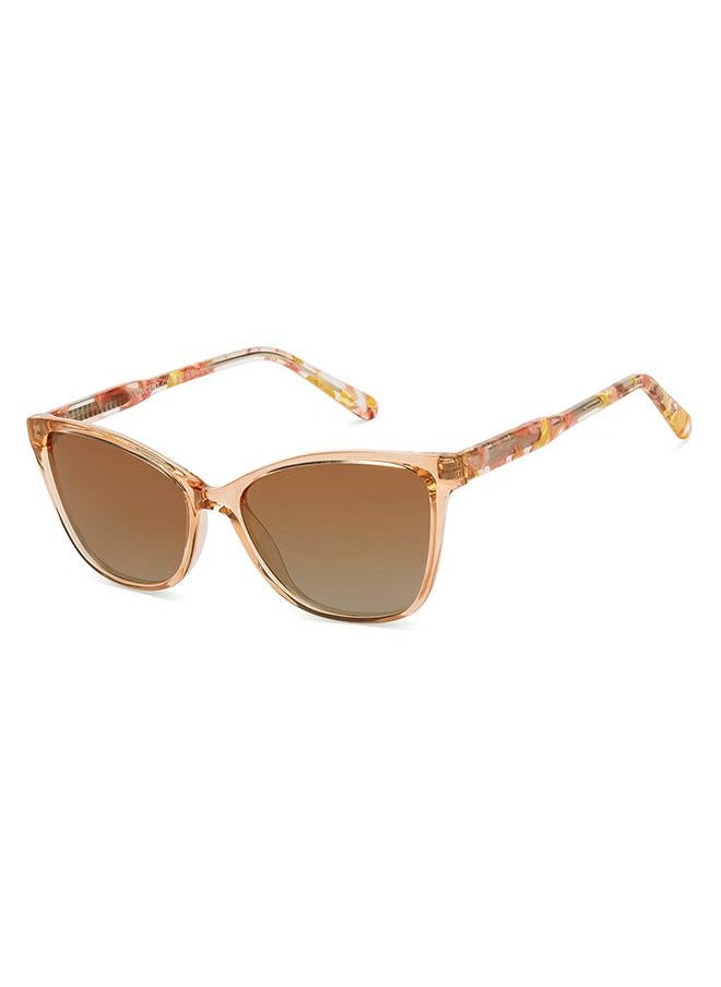 buy-vincent-chase-women-s-full-rim-cat-eye-in-bloom-branded-latest-and-stylish-sunglasses-polarized-and-100-uv-protected-women-medium-vc-s16660_5v9
