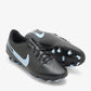 buy-nike-legend-10-club-fg-mg_kjs
