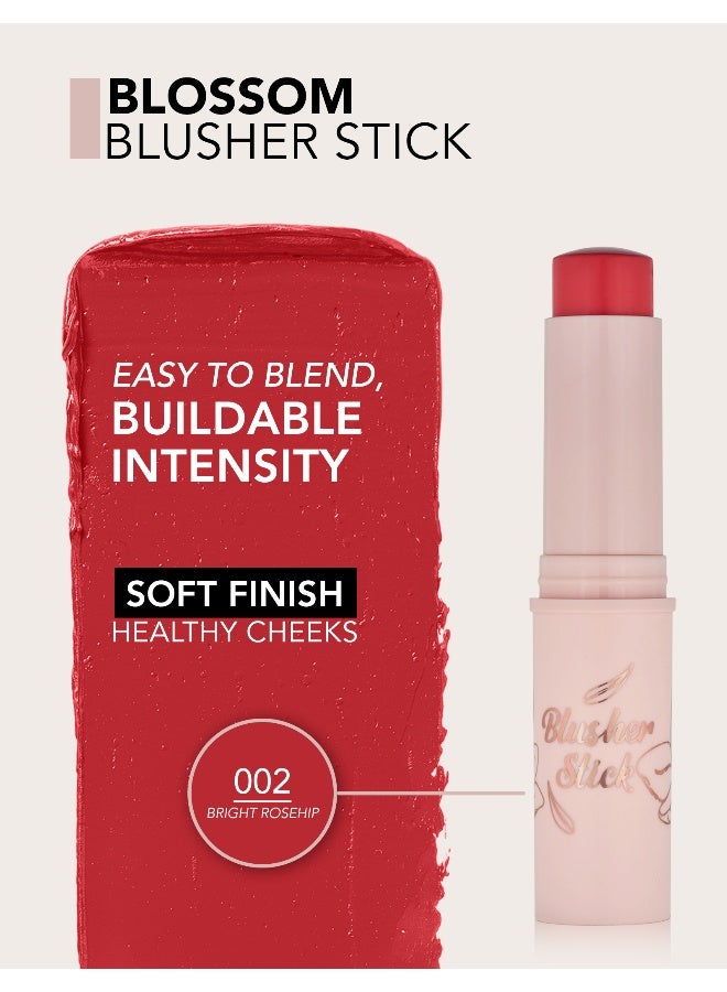 buy-flormar-blusher-stick-002-bright-rosehip_827