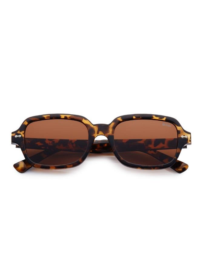 buy-lee-cooper-polarized-sunglasses-brown-frame-brown-tortoise-mirror-lens-53mm-lc1213c03_hno
