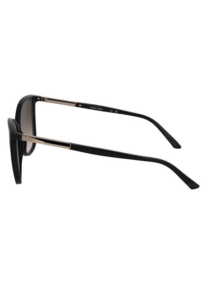 buy-calvin-klein-butterfly-sunglasses_db5
