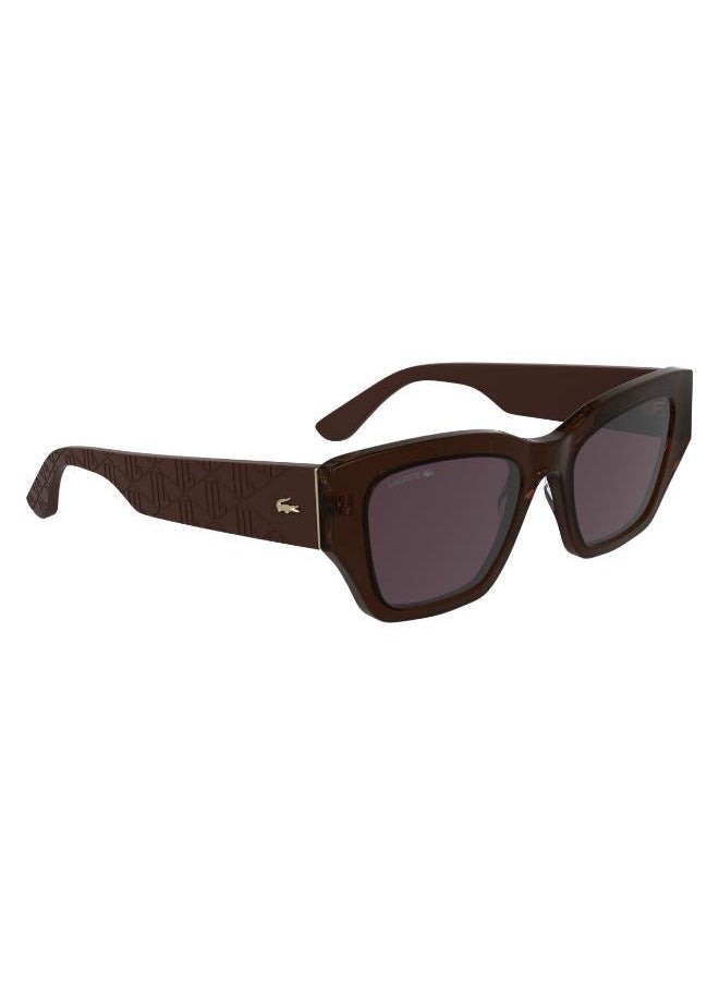 buy-lacoste-butterfly-sunglasses_eo2