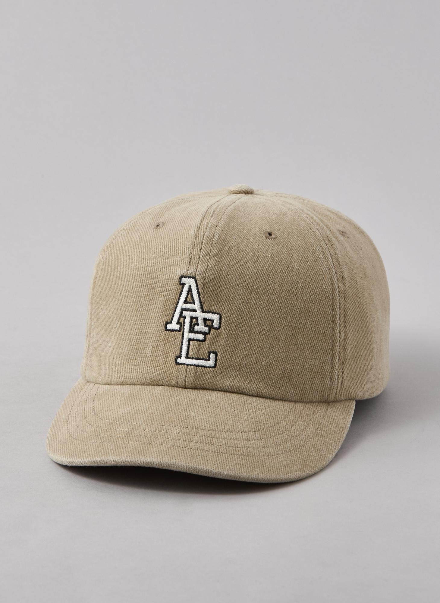 buy-american-eagle-aeo-fitted-baseball-hat_sir