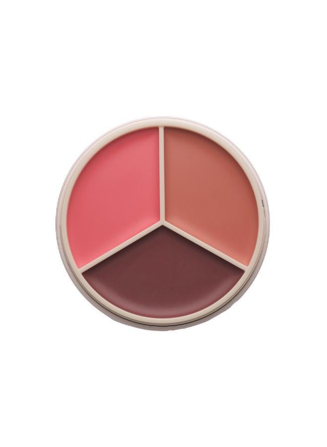 buy-anastasia-beverly-hills-magic-touch-blush-trio_8iw