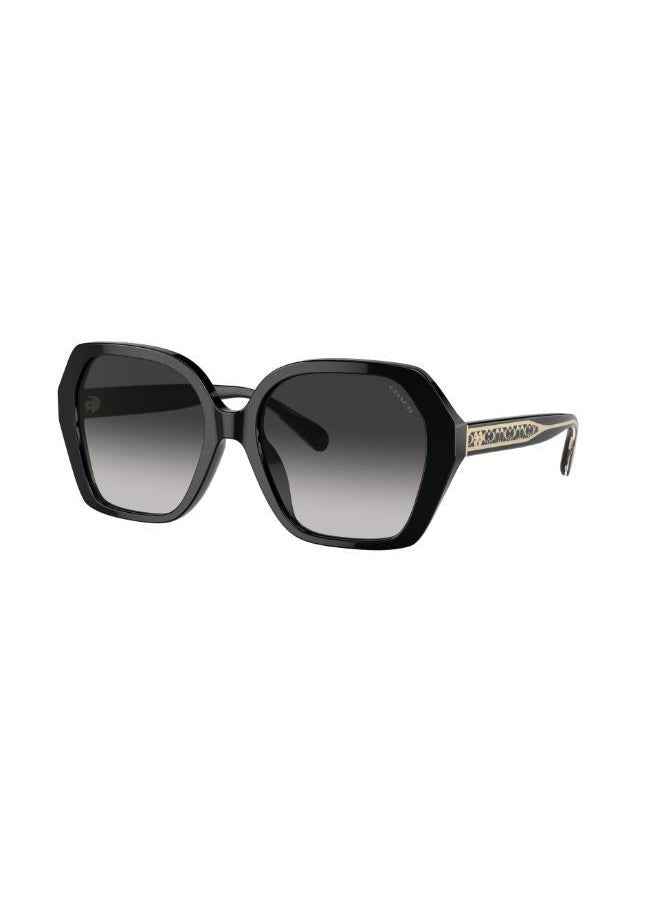 buy-coach-irregular-sunglasses_a61