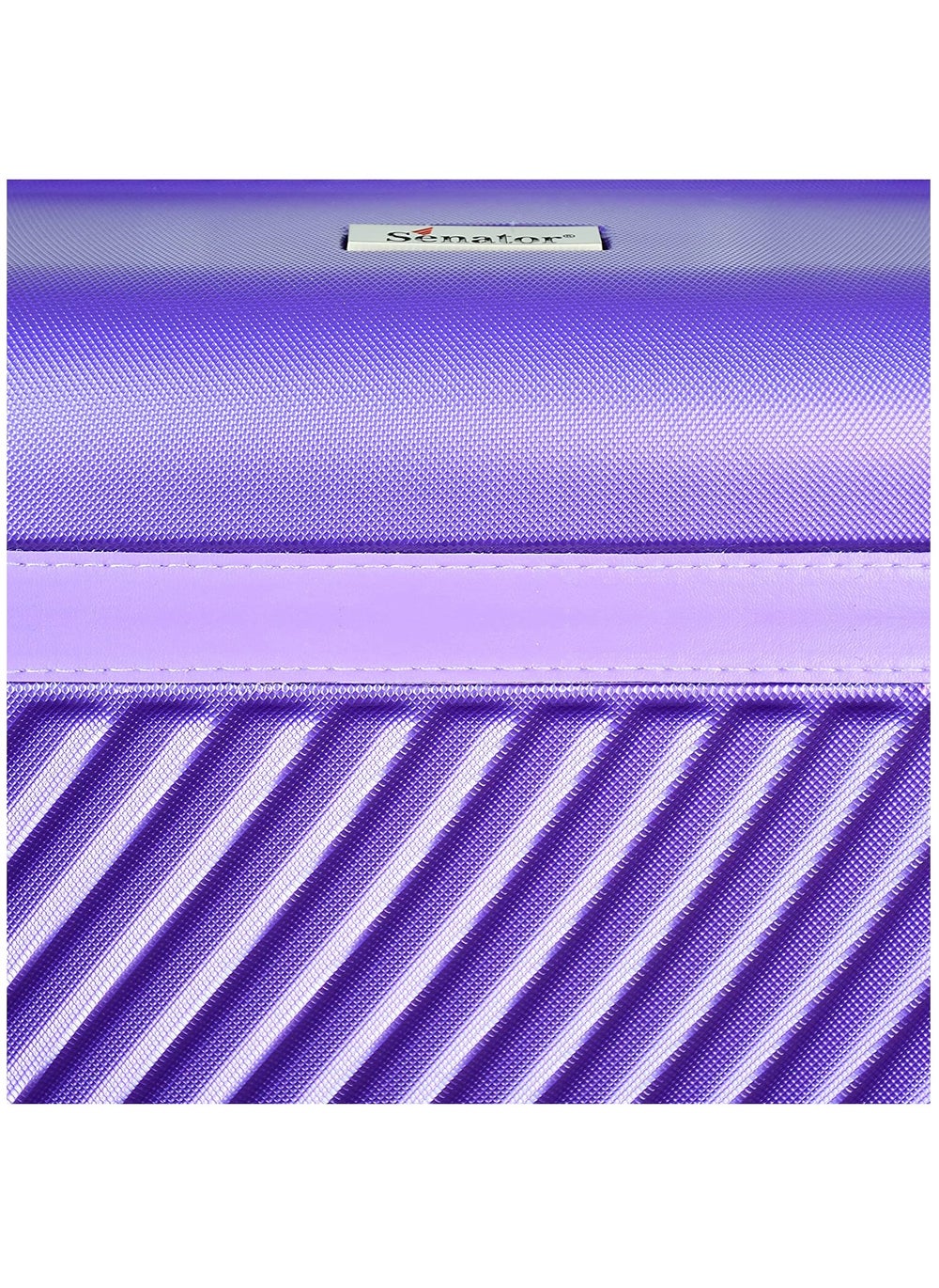 buy-senator-hard-case-travel-bag-luggage-trolley-for-unisex-abs-lightweight-suitcase-with-4-spinner-wheels-kh1065-purple_o1y