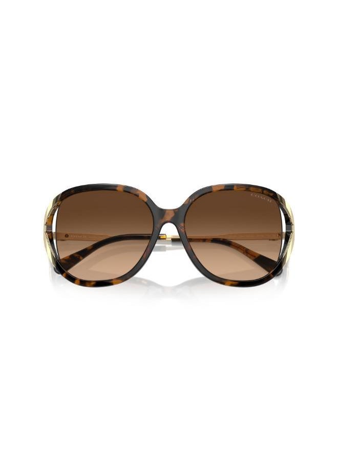 buy-coach-square-sunglasses_3v7