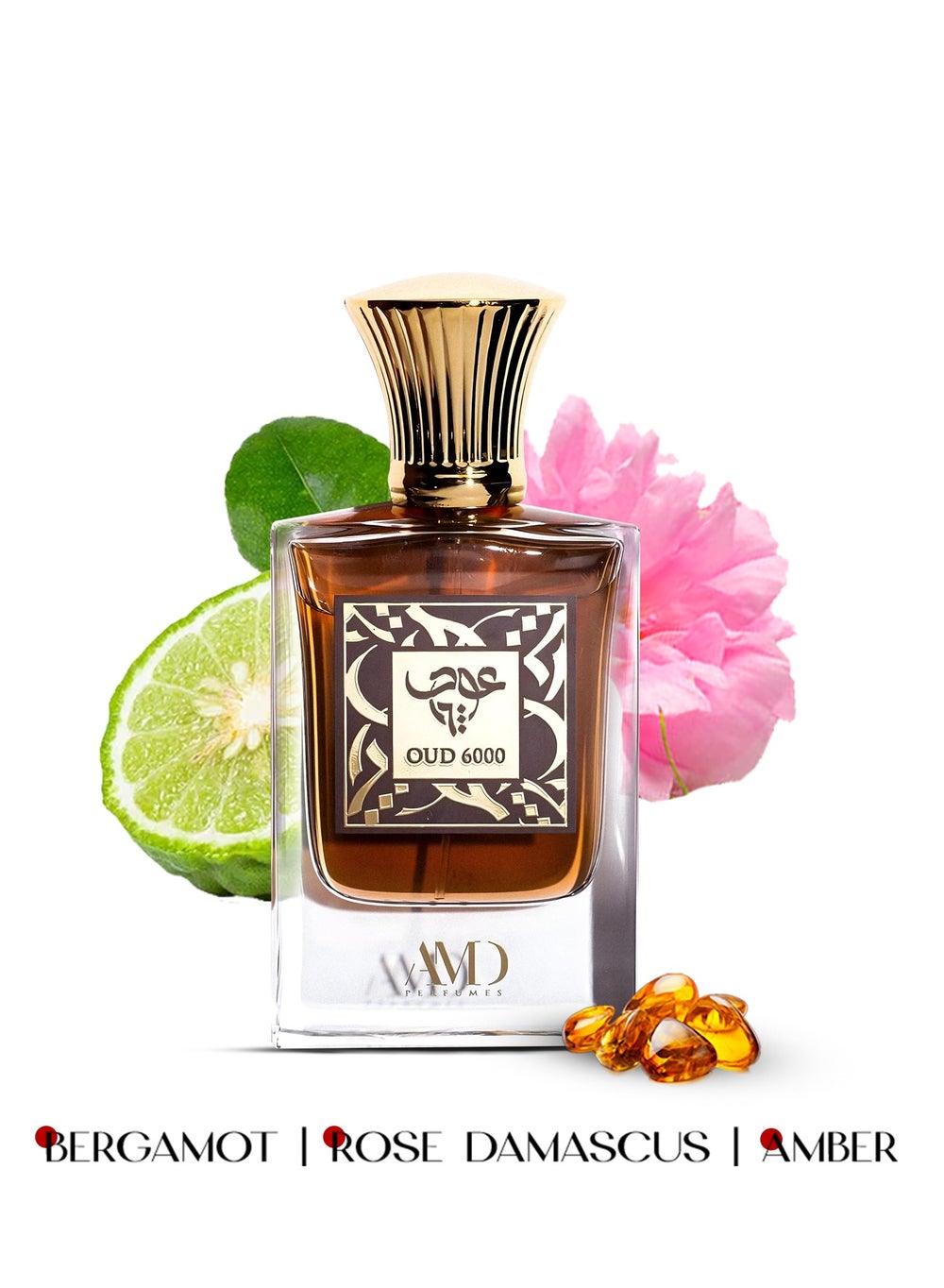 buy-amd-perfumes-oud-6000-by-amd-perfumes-men-and-women-fragrances-edp-50ml_upp