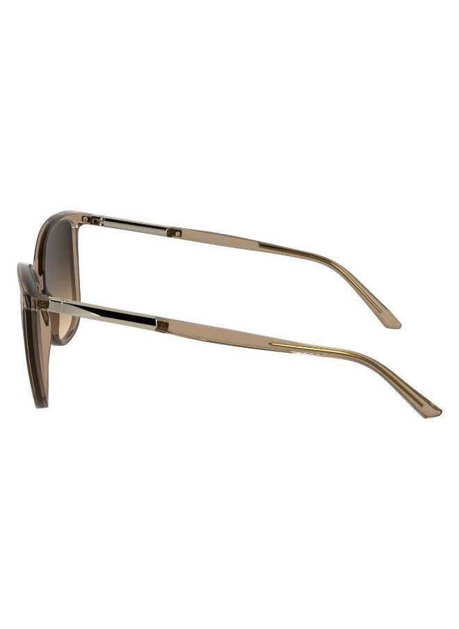 buy-calvin-klein-butterfly-sunglasses_dwm
