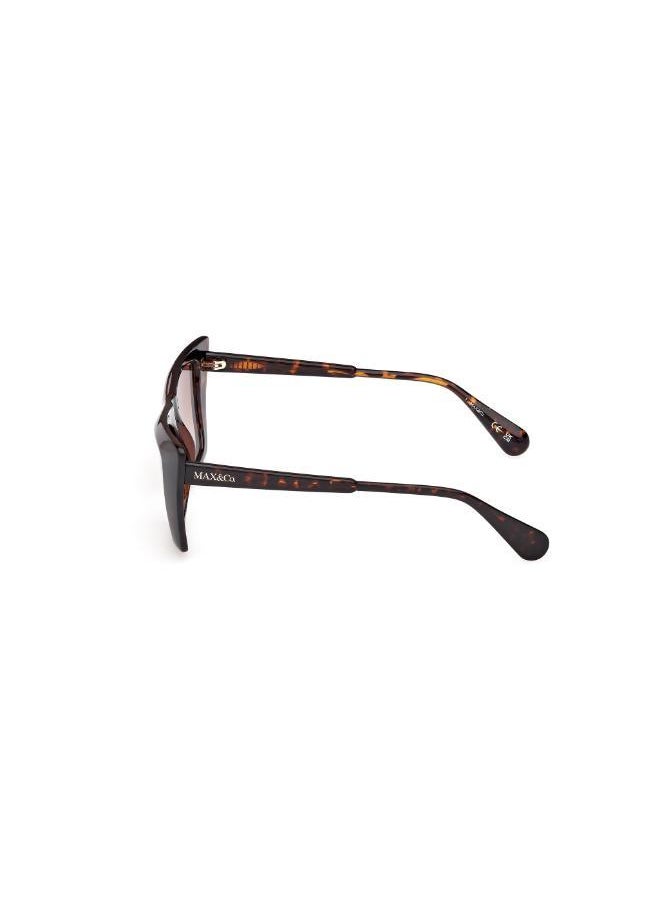 buy-maxco-injected-shaped-sunglasses_jxr