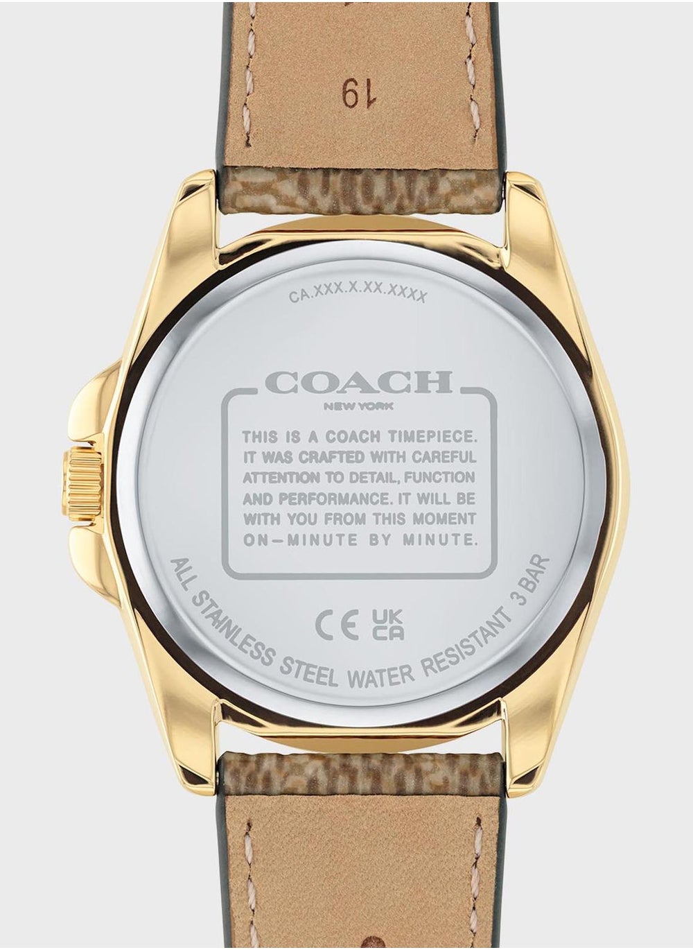 buy-coach-greyson-mesh-strap-analog-watch_9y0
