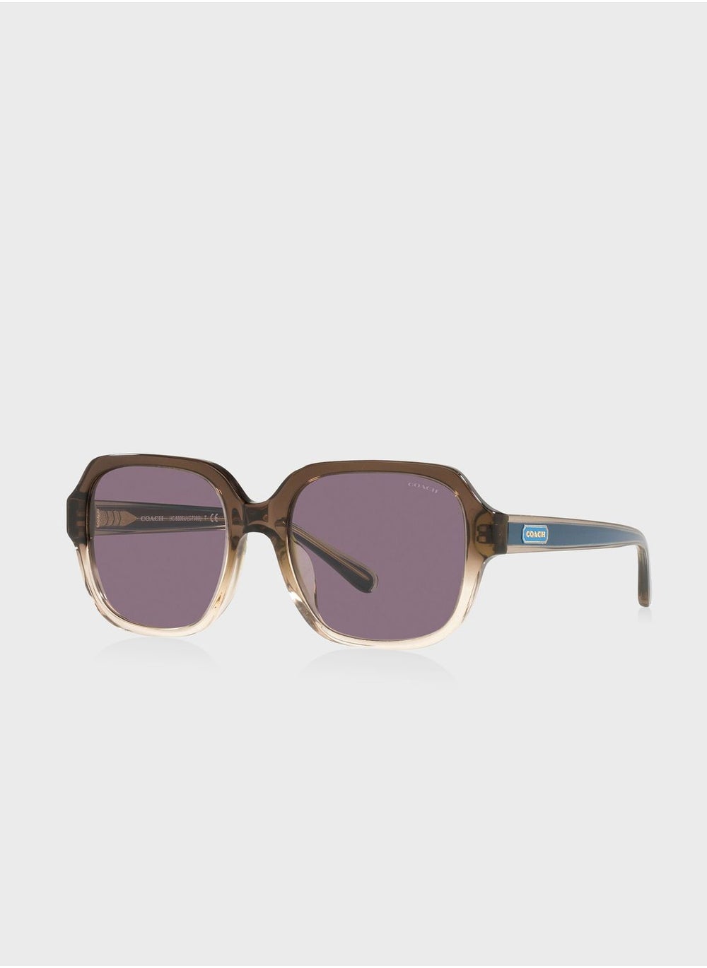 buy-coach-0hc8335u-oversized-sunglasses_p41