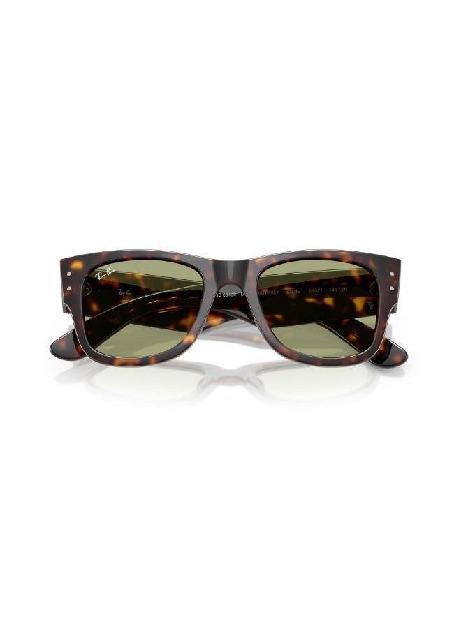 buy-ray-ban-ray-ban-havana-sunglasses_3x7