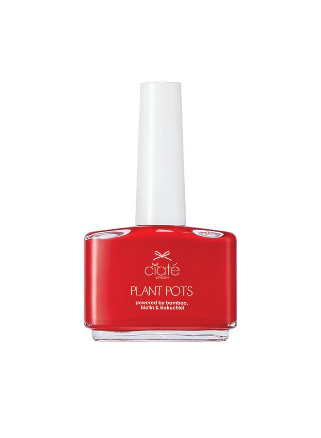 buy-ciate-plant-pots-snatch_8mn