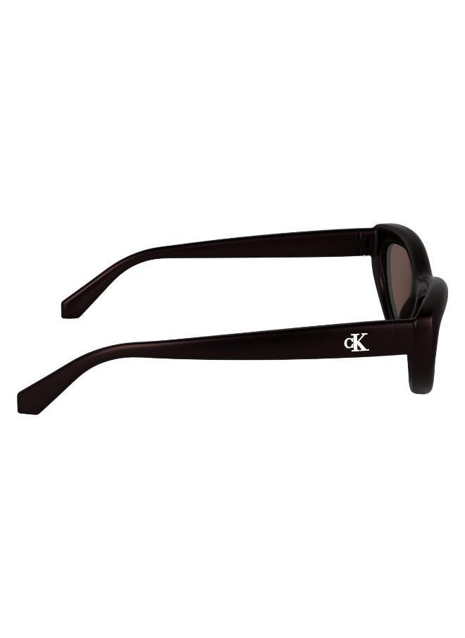 buy-calvin-klein-jeans-cat-eye-sunglasses_umv