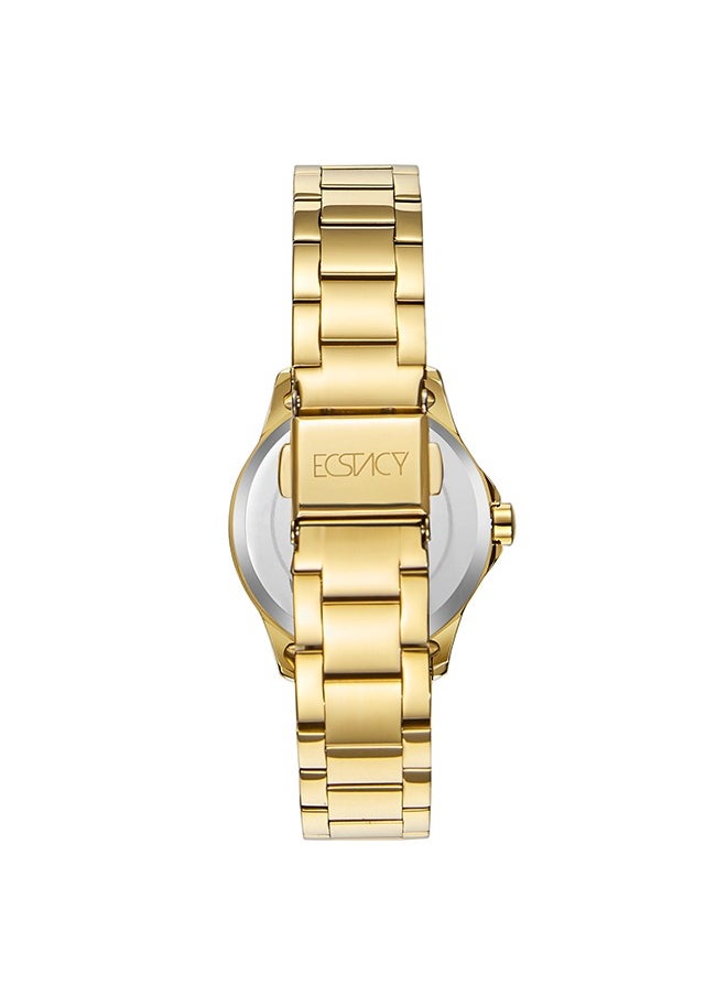 buy-ecstacy-women-s-stainless-steel-analog-watch-e23516-gbgc-34-mm_nb8