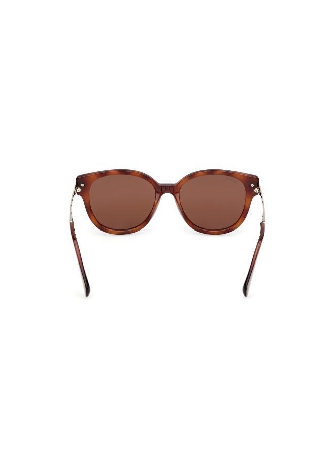 buy-maxco-injected-shaped-sunglasses_88d