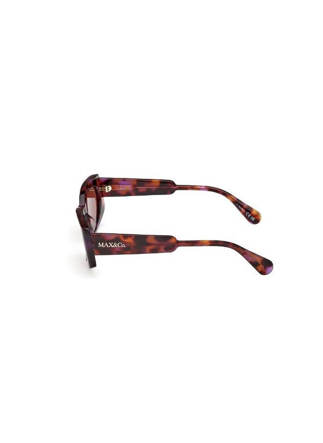 buy-maxco-wayfarers-sunglasses_o4l