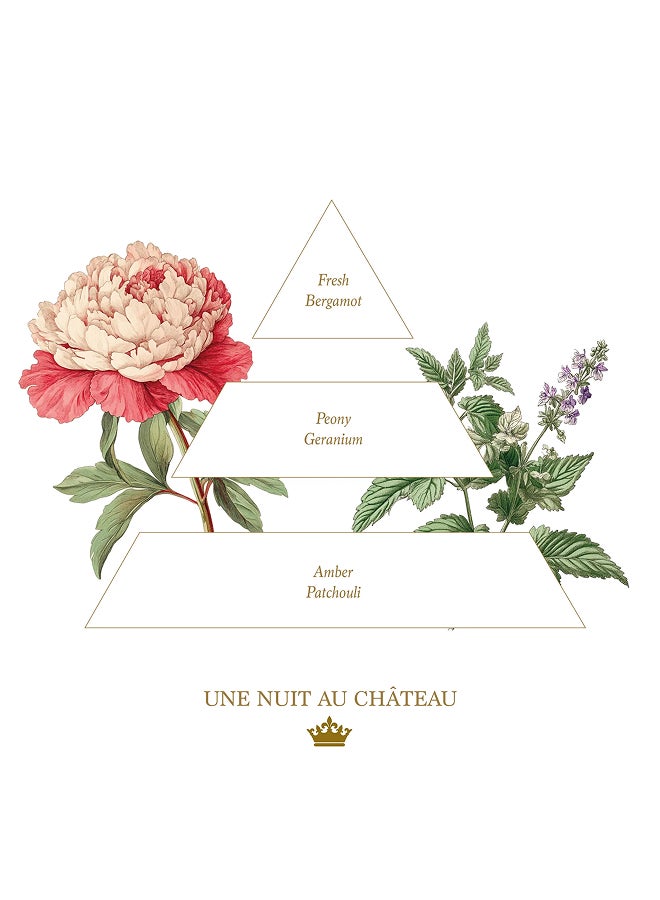 buy-la-savonnerie-royale-set-of-3-soaps-ndeg2_uc3