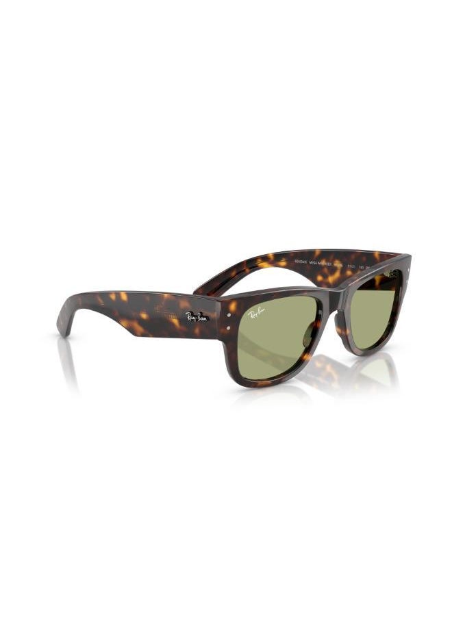 buy-ray-ban-ray-ban-havana-sunglasses_fgs