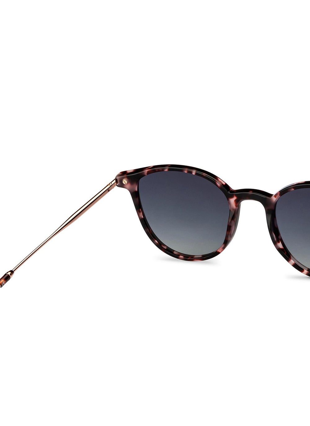 buy-john-jacobs-john-jacobs-full-rim-cat-eye-branded-latest-and-stylish-sunglasses-polarized-and-100-uv-protected-for-men-women-small-jj-s14671_fbg