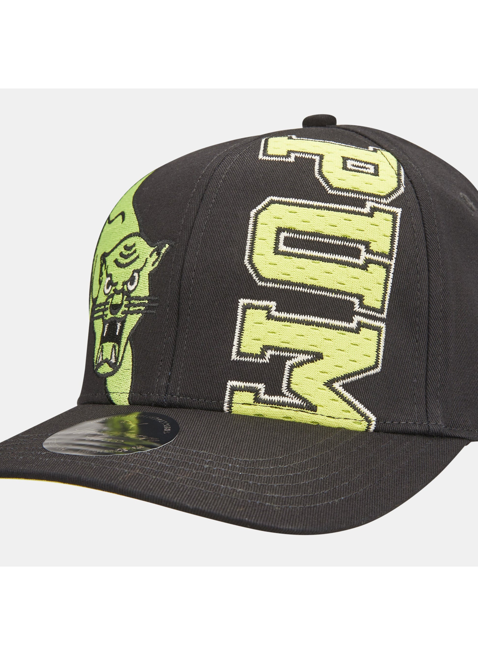 buy-puma-hometown-heroes-graphic-cap_n65