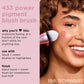 Luxe Precision 453 Blush Brush for Vibrant Cheekbones
