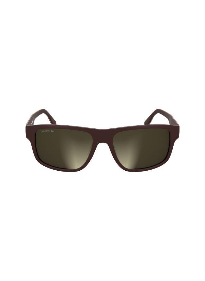 buy-lacoste-modified-rectangle-sunglasses_ofe