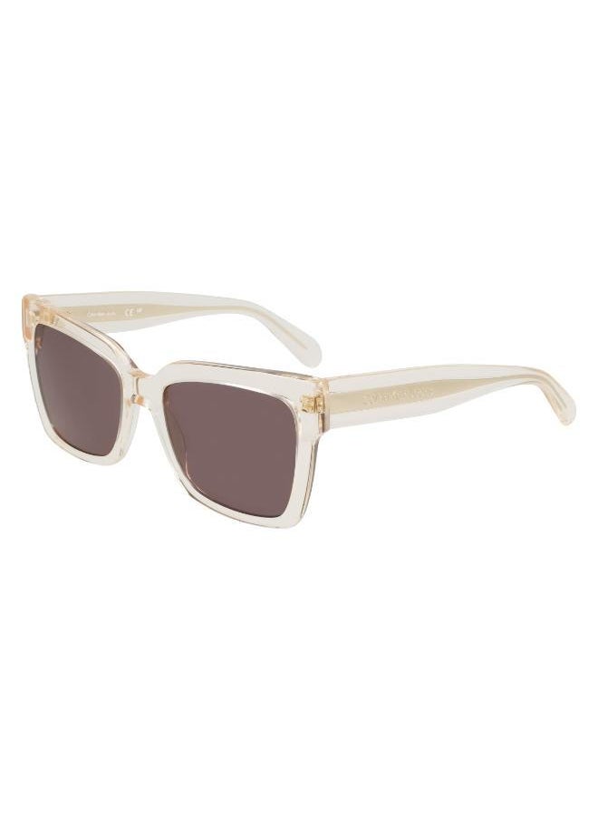 buy-calvin-klein-jeans-ckj24606s-rectangle-sunglasses_6ub