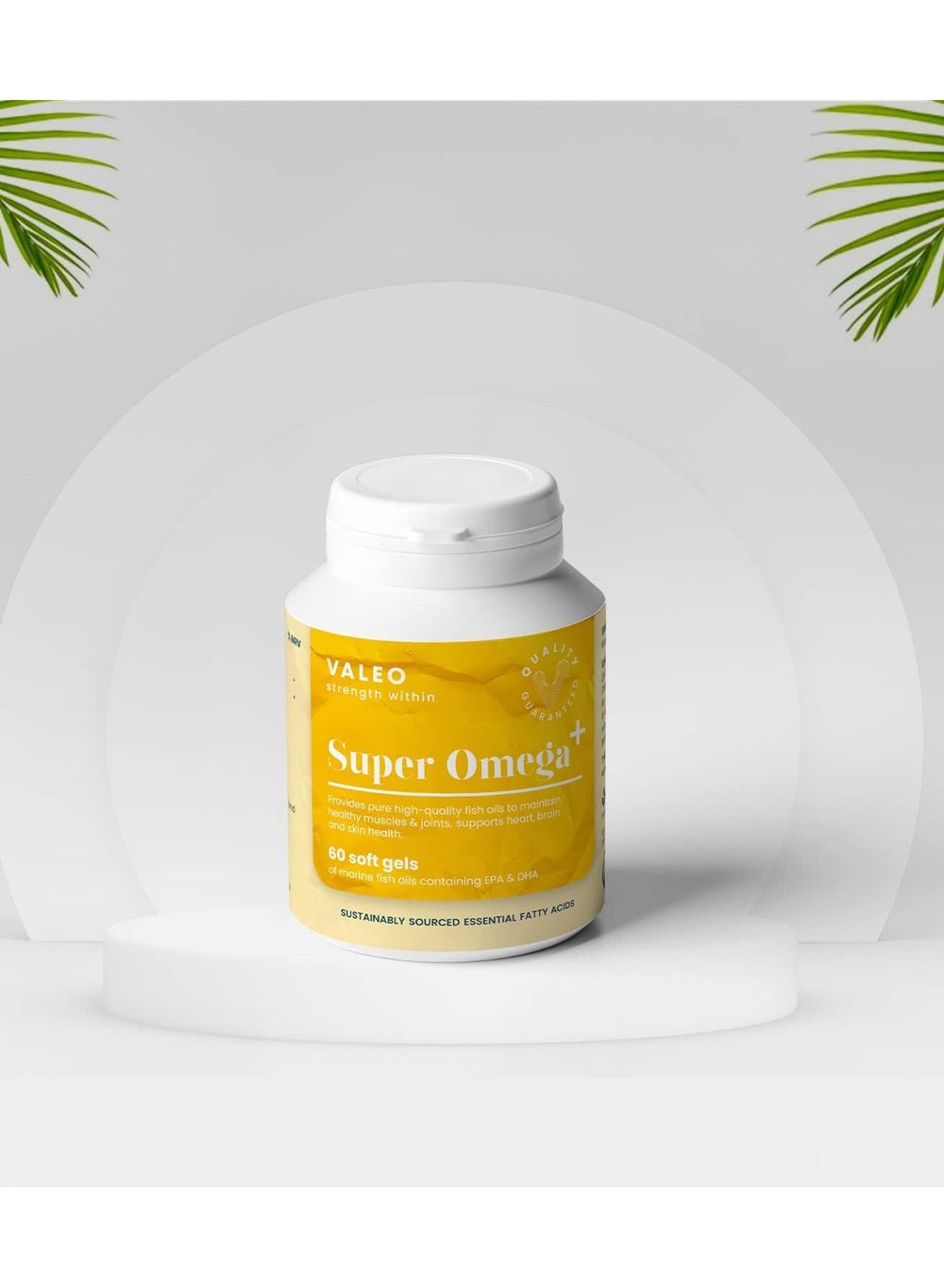 buy-valeo-super-omega-60-softgels_mlj