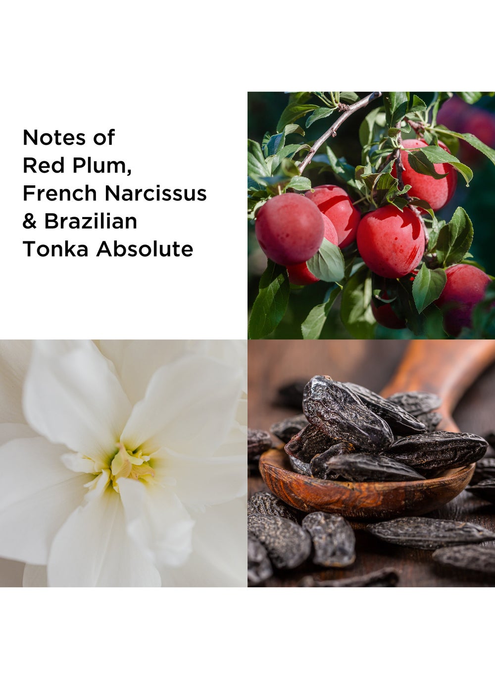 buy-elizabeth-arden-elizabeth-arden-untold-absolu-eau-de-parfum-spray-100ml_g8i