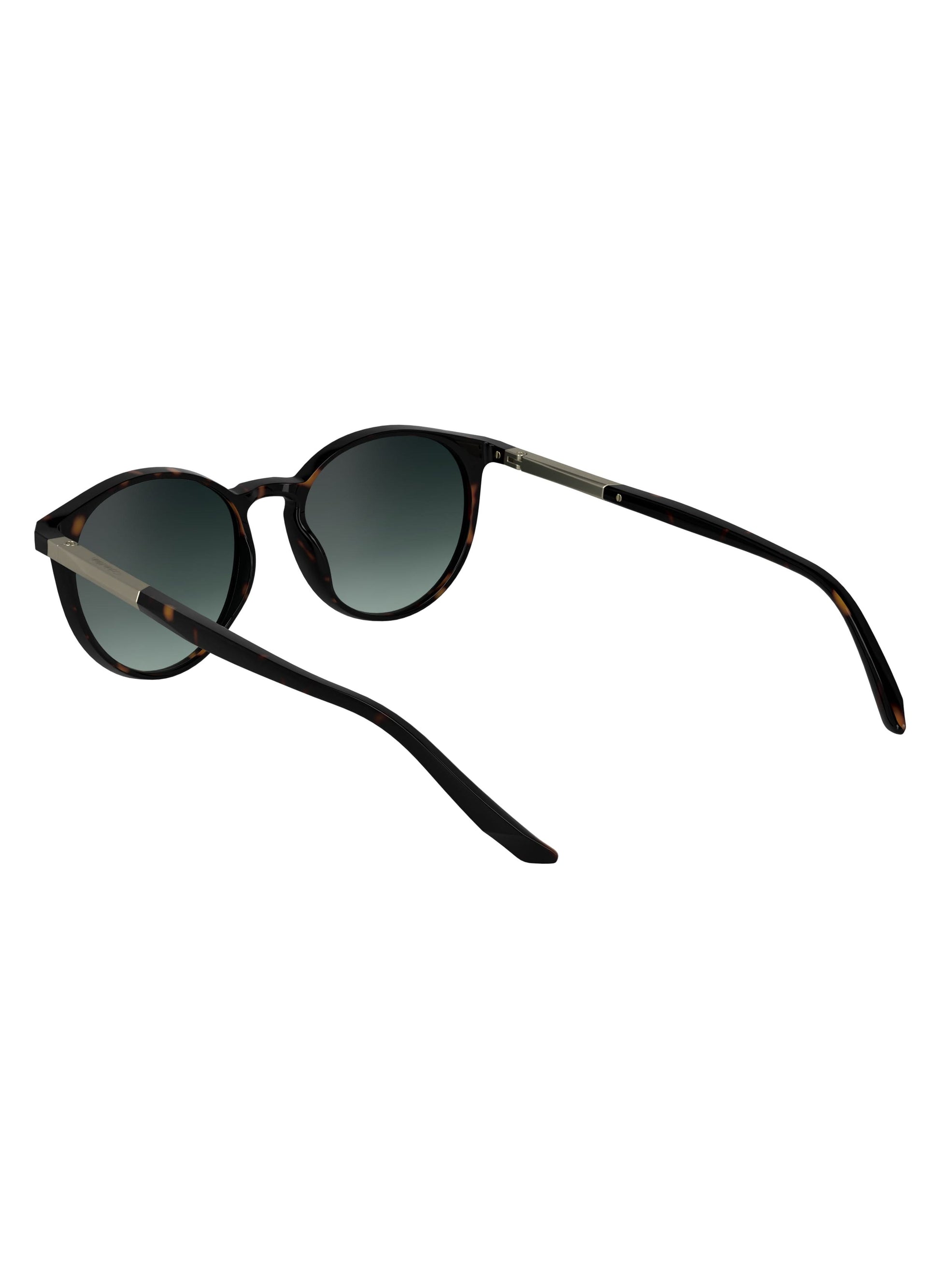 buy-calvin-klein-round-sunglasses-ck24539s_erb