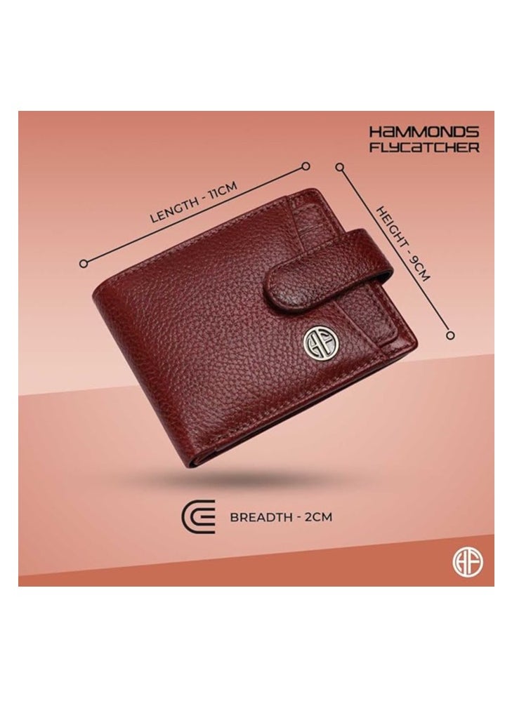 buy-hammonds-flycatcher-gift-for-men-combo-genuine-leather-wallet-and-belt-combo-for-men-leather-belt-for-men-birthday-special-unique-gift-ideas-for-husband-boyfriend-father-dptp_t7j