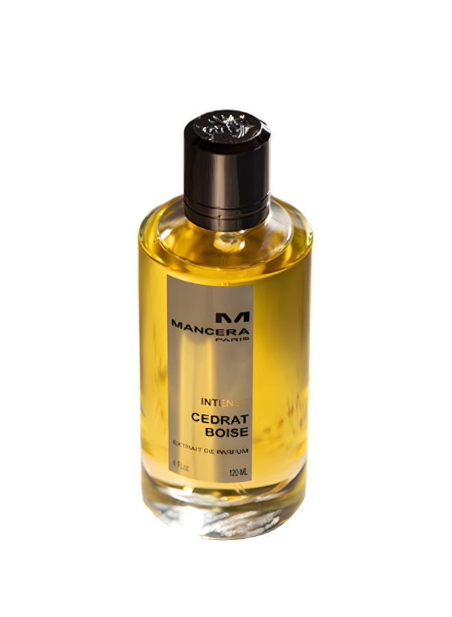 buy-mancera-int-cedrat-boise-120ml_4nk