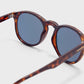 buy-hawkers-bel-air-wayfarer-sunglasses_q3f