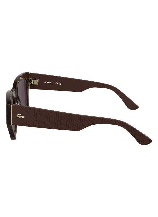 buy-lacoste-butterfly-sunglasses_153