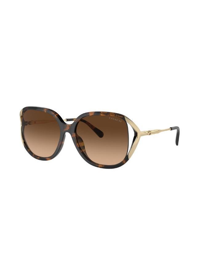 buy-coach-square-sunglasses_px9