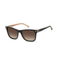 buy-carrera-carrera-3001-s-wayfarers-sunglasses_2j9