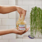 Dr Teal's Shea Butter & Almond Oil Sugar Scrub 538g - Luxurious Exfoliation