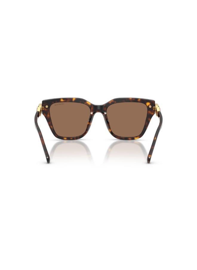 buy-swarovski-havana-frames-sunglasses_tct