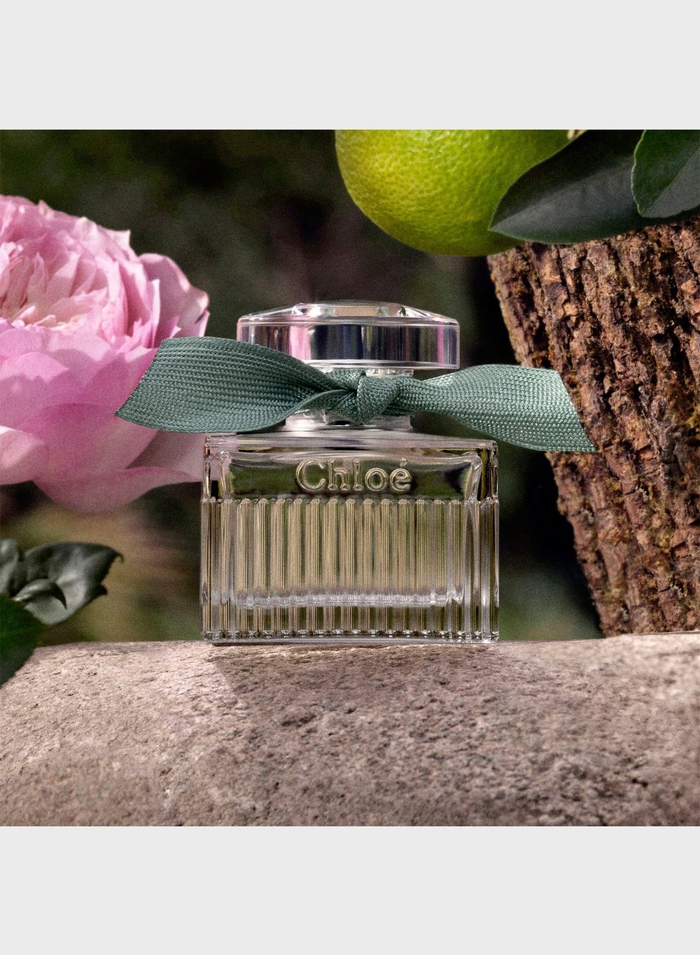 buy-chloe-rose-naturelle-intense-edp-50ml_kwv