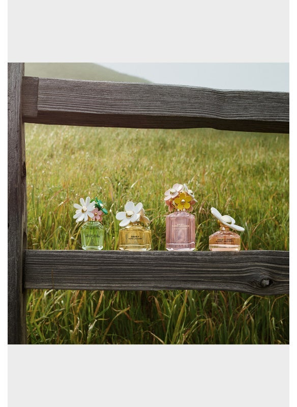 buy-marc-jacobs-daisy-wild-eau-so-intense-eau-de-parfum-100ml_n0b