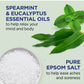 Dr Teal's Eucalyptus & Spearmint Epsom Bath Salt 1.36Kg