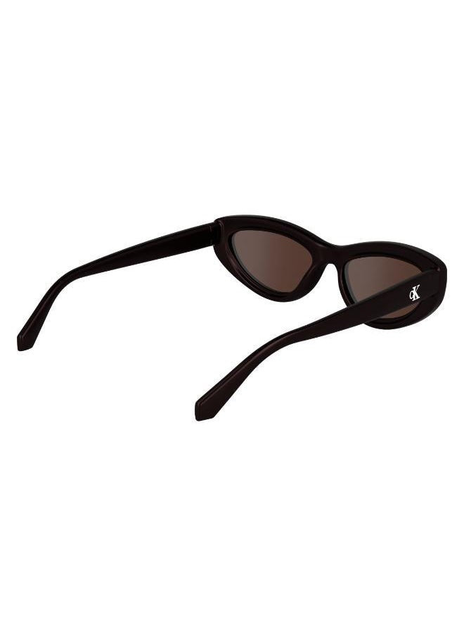 buy-calvin-klein-jeans-cat-eye-sunglasses_h0p